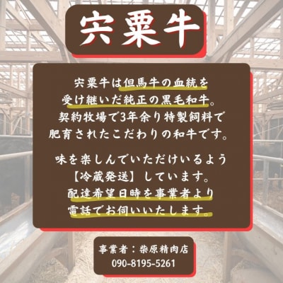 宍粟牛ステーキセット(約1000g)　F8