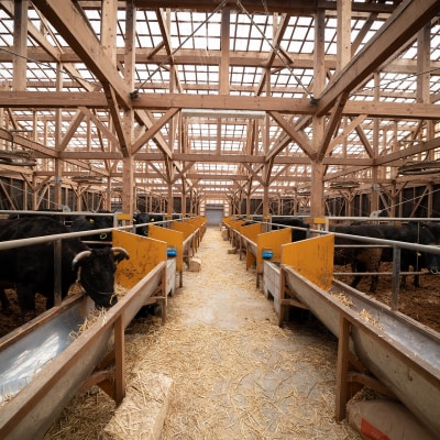 宍粟牛贅沢セット【竹:6.4Kg】F11