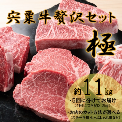 宍粟牛贅沢セット【極:11kg】F13