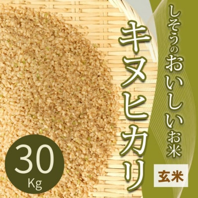 【令和7年産】しそうのおいしい お米 キヌヒカリ 玄米 30kg I4