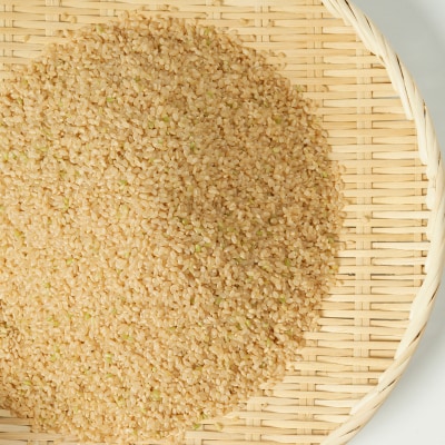 【令和7年産】しそうのおいしい お米 キヌヒカリ 玄米 30kg I4