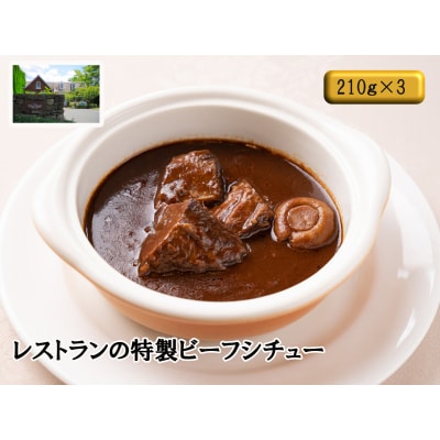 レストランの特製ビーフシチューJ14