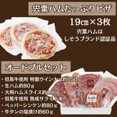 宍粟ハムたっぷりピザとオードブルセットJ19