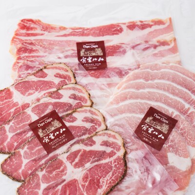 但馬牛ハンバーグと宍粟ハムの詰め合わせJ22