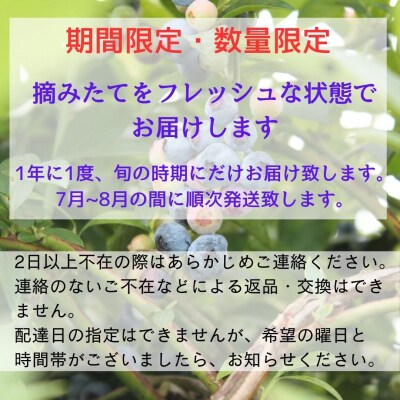 しそうのブルーベリー 1Kg  K6
