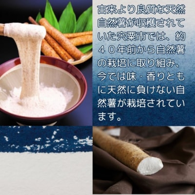 【令和7年産　先行受付】しそうの自然薯　K7