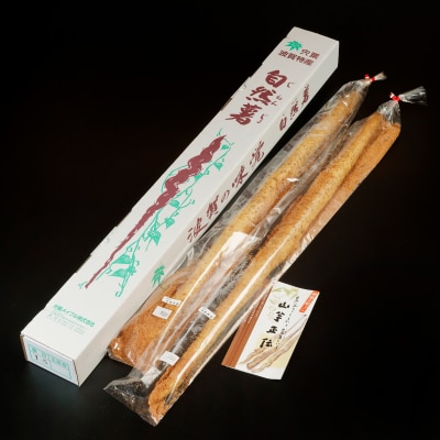 【令和7年産　先行受付】しそうの自然薯　K7