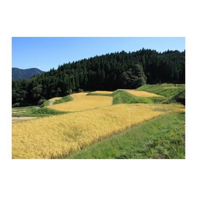 【令和7年産】しそうのおいしい お米　コシヒカリ 玄米3Kg　K9