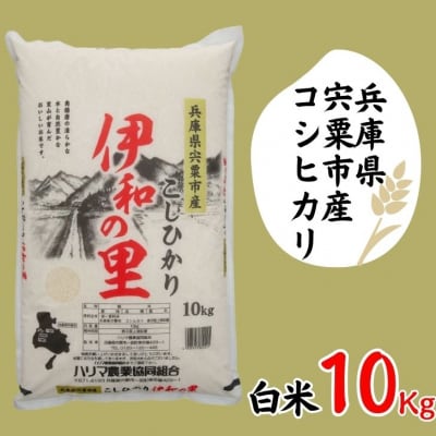 【令和7年産】しそうのおいしいお米コシヒカリ精米「伊和の里」10Kg　P8