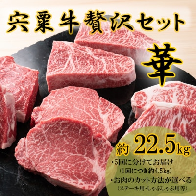 宍粟牛贅沢セット【華:22.5kg】F14