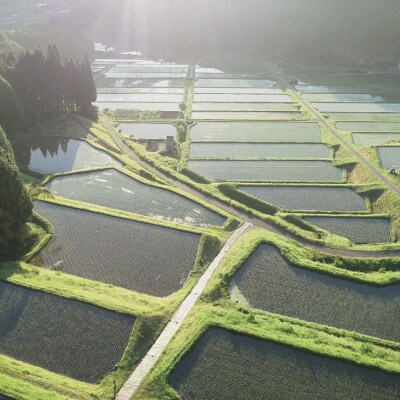 【令和7年産】新米　受付開始　播州コシヒカリ「飯戸の阜」白米5kg(生産年食味検査最高得点米)AJ7