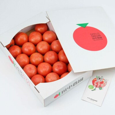 田中農園自慢のトマト大玉4kg　AP2