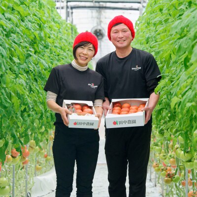 田中農園自慢のトマト1kgと缶詰とピューレーセット AP5