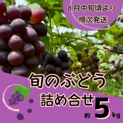 ぶどうの詰合せ　約5kg Y4