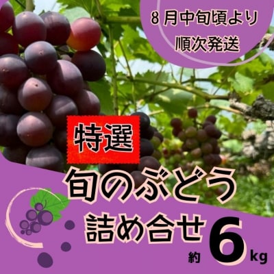 特選ぶどうの詰合せ　約6kg Y5