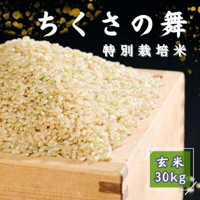 数量限定 令和6年度 新米ヒノヒカリ 菊池米 30kg 無農薬 (商品説明必読) 令和6年度 新米 玄米菊池米30kg （Amazon.co.jp: 新米 玄米 30kg