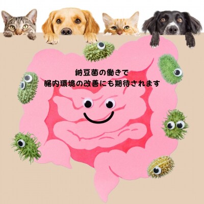 腸活素材　犬・猫の無添加おやつ　フリーズドライ挽割納豆　O23　