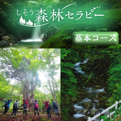 しそう森林セラピー　基本コース　BE1