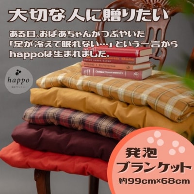 大切な人に贈りたい「 発泡ブランケット 」　BN1　