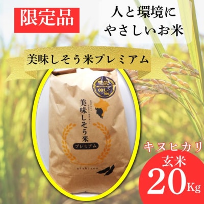 キヌヒカリ 玄米 20Kg 美味しそう米 プレミアム　I11