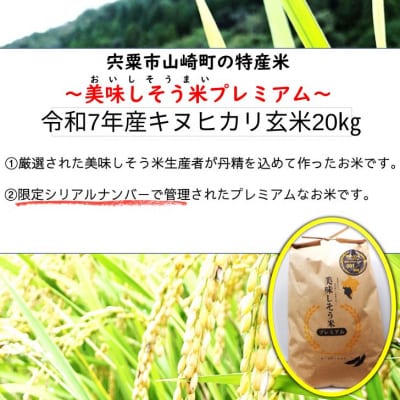キヌヒカリ 玄米 20Kg 美味しそう米 プレミアム　I11