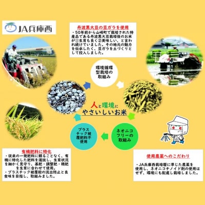 キヌヒカリ 玄米 20Kg 美味しそう米 プレミアム　I11