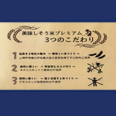 キヌヒカリ 玄米 20Kg 美味しそう米 プレミアム　I11