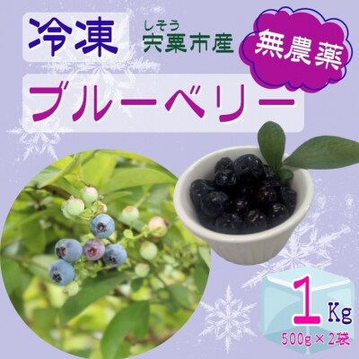 しそうの 冷凍 ブルーベリー 1kg (500g×2) K11