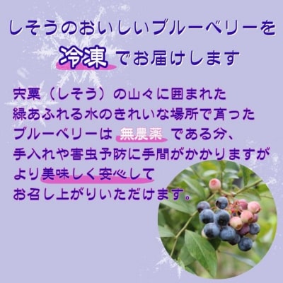 しそうの 冷凍 ブルーベリー 1kg (500g×2) K11