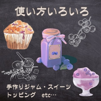 しそうの 冷凍 ブルーベリー 1kg (500g×2) K11