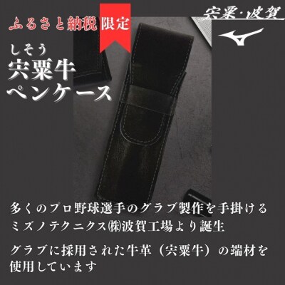 宍粟牛 ペンケース【 ペン 筆入れ ミズノ グラブ グローブ 牛革 限定】AO78