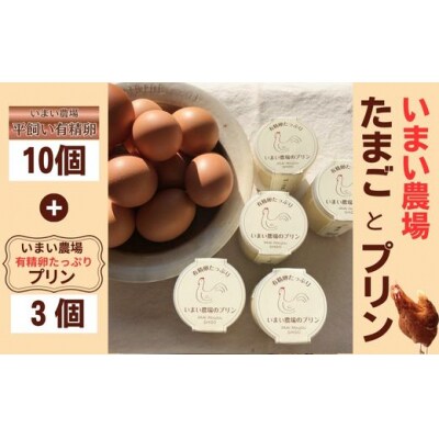 平飼い 有精卵 10個 と プリン 3個　いまい農場　BQ2