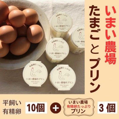 平飼い 有精卵 10個 と プリン 3個　いまい農場　BQ2