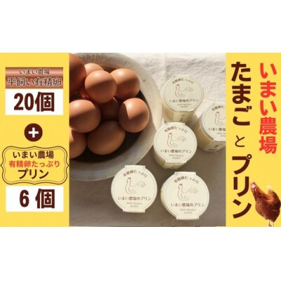 平飼い 有精卵 20個 と プリン 6個　いまい農場　BQ4