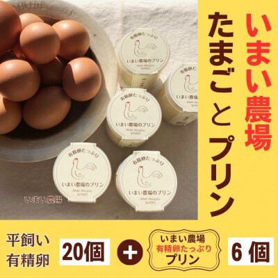 平飼い 有精卵 20個 と プリン 6個　いまい農場　BQ4