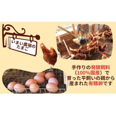 平飼い 有精卵 20個 と プリン 6個　いまい農場　BQ4