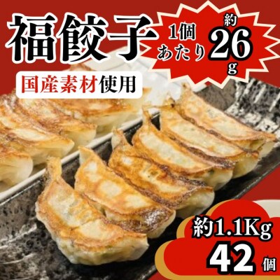 福餃子 42個(約1.1Kg)　BO1