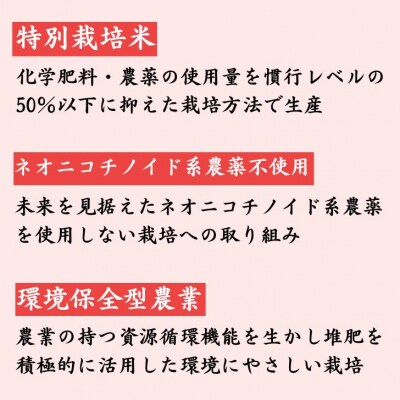 白米 2Kg コシヒカリ「 みかたの舞 」 特別栽培米　P15