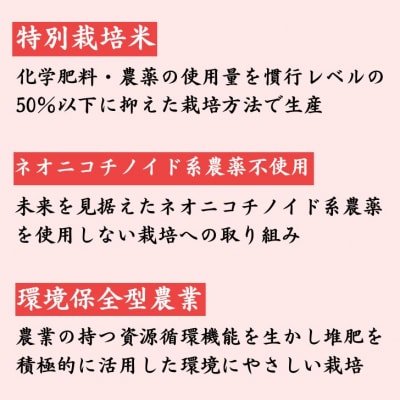 白米 5Kg コシヒカリ「 みかたの舞 」 特別栽培米　P16
