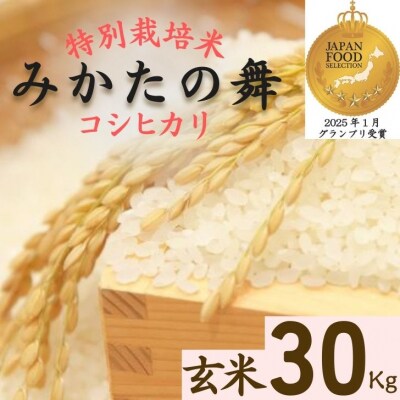 玄米 30Kg コシヒカリ「 みかたの舞 」 特別栽培米　P17