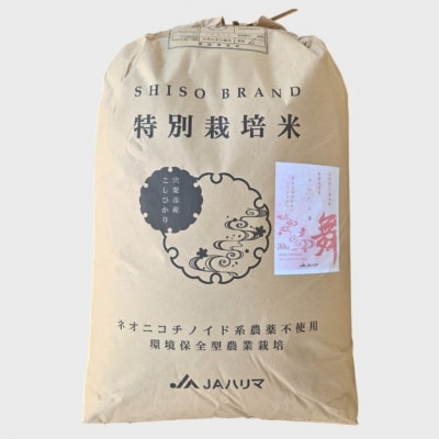 玄米 30Kg コシヒカリ「 みかたの舞 」 特別栽培米　P17