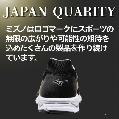 ミズノ ランニングシューズ【ブラック×ゴールド×ホワイト 2E】AO79