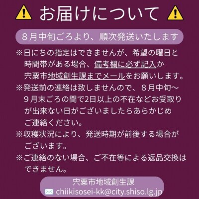 横野さん家の「完熟ぶどう」の詰合せ 約1.5Kg　BV1