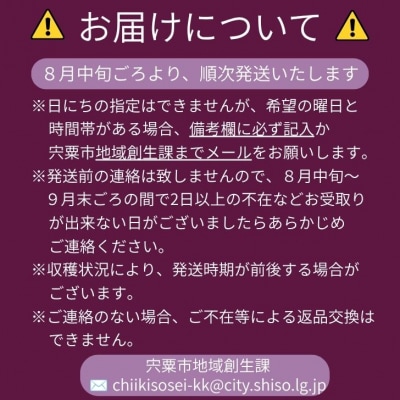 横野さん家の「完熟ぶどう」の詰合せ 約2.2Kg　BV2