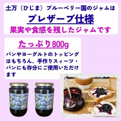 果実たっぷり ブルーベリージャム 800g(400g×2本)　BW1