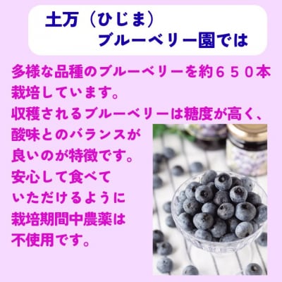 果実たっぷり ブルーベリージャム 800g(400g×2本)　BW1