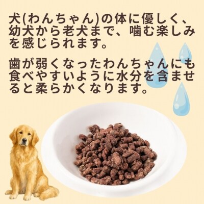  無添加 ドッグフード「定期便」宍粟市産 鹿肉 100% (一般食)　O25