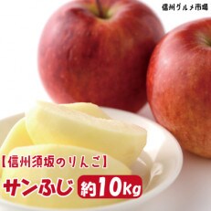 【2023年発送】サンふじ　約10kg(約22～40玉) 　信州グルメ市場厳選
