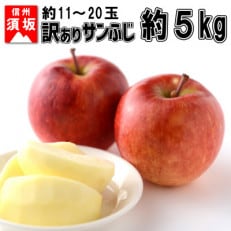【2023年11月より順次発送】訳あり　サンふじ　家庭用約5kg(約11～20玉)信州グルメ市場厳選