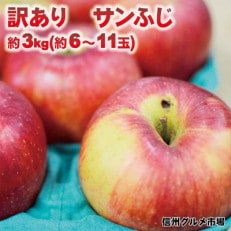 訳あり サンふじ約3kg(約6～11玉)信州グルメ市場厳選【離島・北海道・沖縄配送不可】